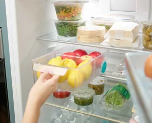 Joseph Joseph FridgeStore™ Large Storage Bin- Fridge Organization